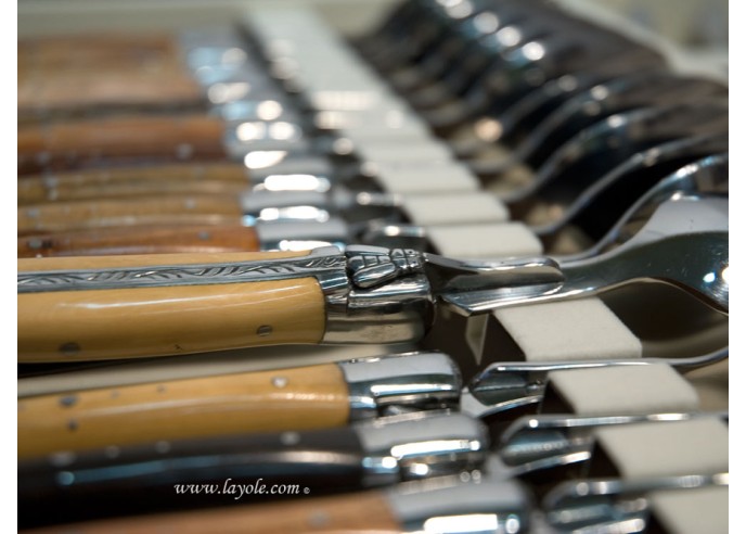 Ménagère prestige, 24 pièces manches en bois divers, avec mitres inox brillant