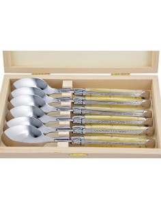 Grosses cuillères,  gamme courante, mitres inox brillant, manche acrylique ténéré
