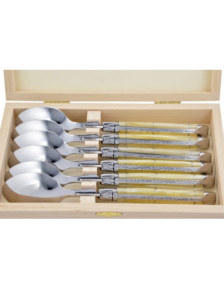 Cuillères à soupe,  gamme courante, mitres inox brillant, manche acrylique ténéré