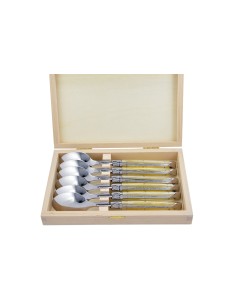 Cuillères à soupe,  gamme courante, mitres inox brillant, manche acrylique ténéré 2