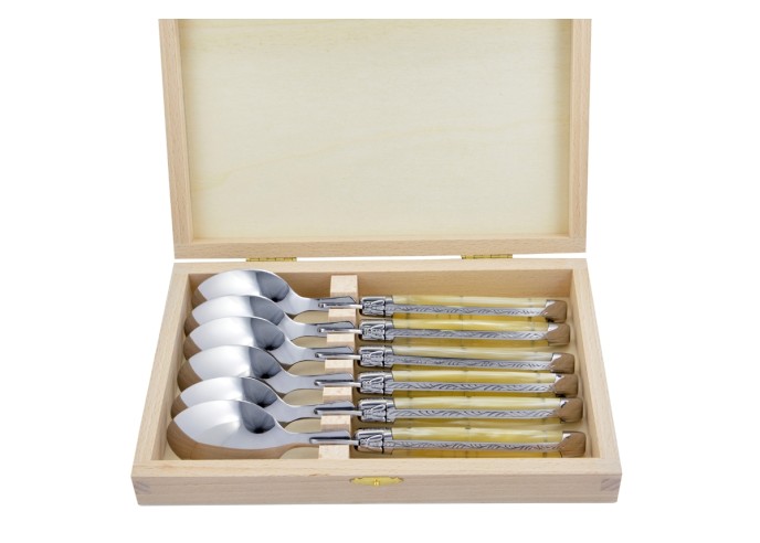 Grosses cuillères,  gamme courante, mitres inox brillant, manche acrylique ténéré