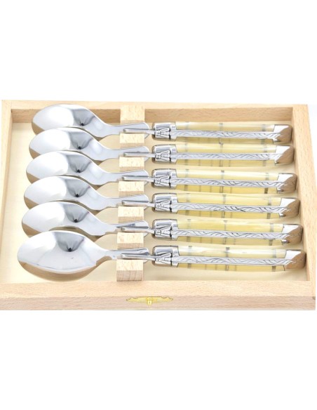 Petites cuillères, gamme courante, mitres inox brillant, manche acrylique ténéré