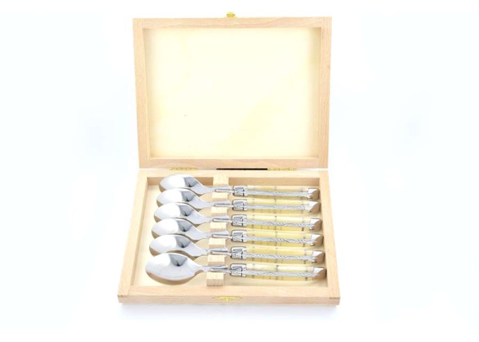 Petites cuillères, gamme courante, mitres inox brillant, manche acrylique ténéré
