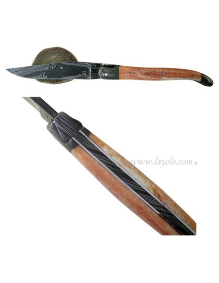 Laguiole "Sauvage" 12 cm - Damas & Girafe