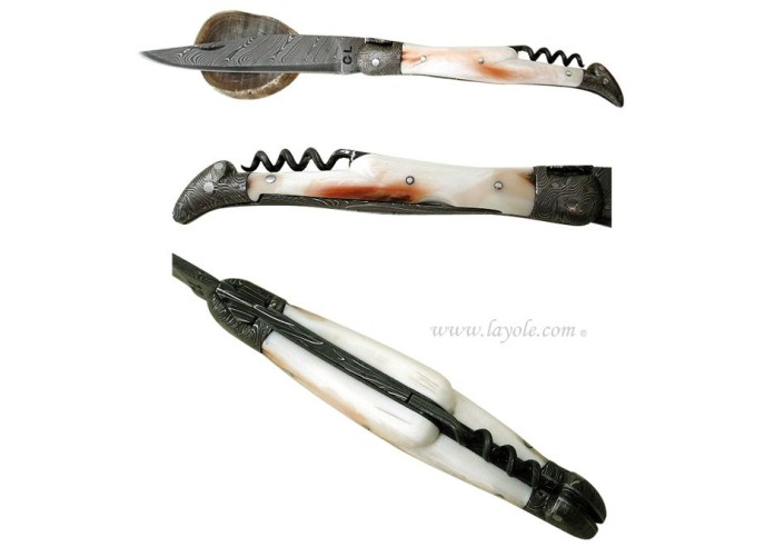 Laguiole "Sauvage" 12 cm - Damas & Phacochère