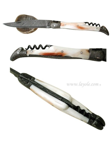 Laguiole "Sauvage" 12 cm - Damas & Phacochère