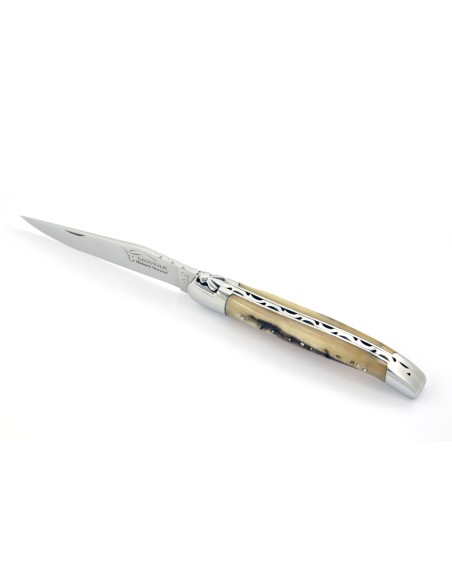 Laguiole pliant, 12 cm, abeille forgée, lame seule, mitres inox brillant, manche en corne de bélier (avec croûte)