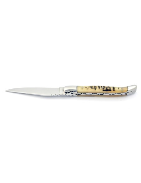Laguiole pliant, 12 cm, abeille forgée, lame seule, mitres inox brillant, manche en corne de bélier (avec croûte)
