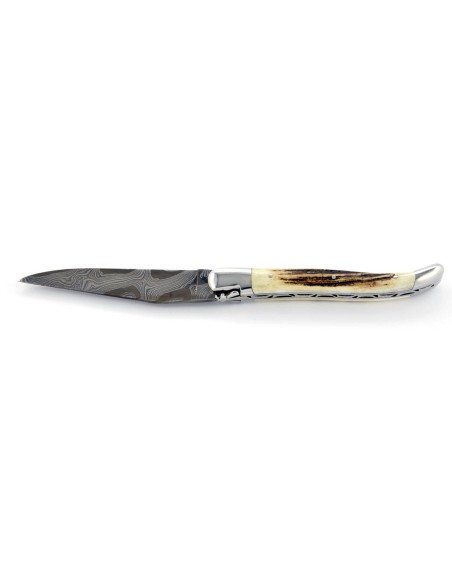 Laguiole pliant, 12 cm, acier Damas, abeille forgée, mitres inox brillant, manche bois de cerf