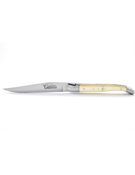 Coffret de couteaux de table Laguiole avec mitres inox brillant, manche fin en acrylique ténéré