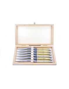 Coffret de couteaux de table Laguiole avec mitres inox brillant, manche fin en acrylique ténéré