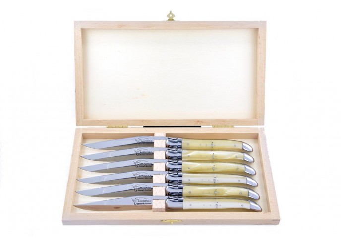 Coffret de couteaux de table Laguiole avec mitres inox brillant, manche fin en acrylique ténéré