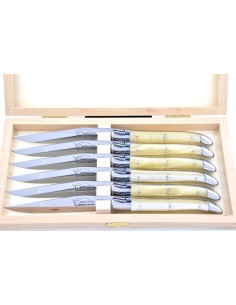 Coffret de couteaux de table Laguiole avec mitres inox brillant, manche fin en acrylique ténéré 2