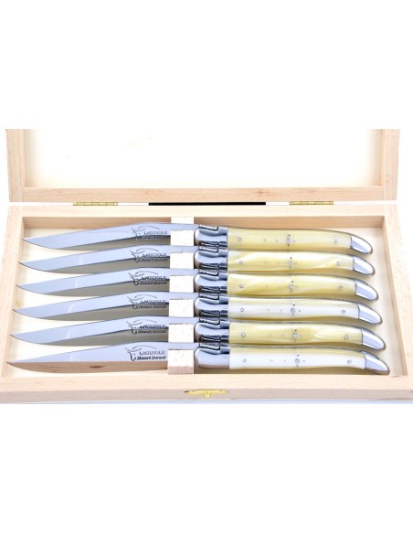 Coffret de couteaux de table Laguiole avec mitres inox brillant, manche fin en acrylique ténéré