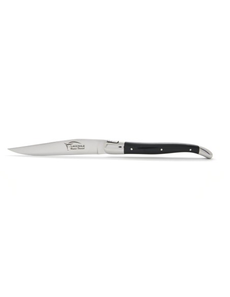 Coffret de couteaux de table avec mitres inox brillant, lavables en machine, manche fin en corian noir