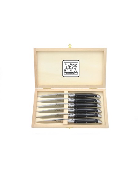 Coffret de 6 couteaux de table avec mitres inox brillant, lavables en machine, manche fin en corian noir