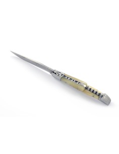 Laguiole pliant, 12 cm, abeille forgée, lame & tire-bouchon, mitres inox mat, manche pointe de corne