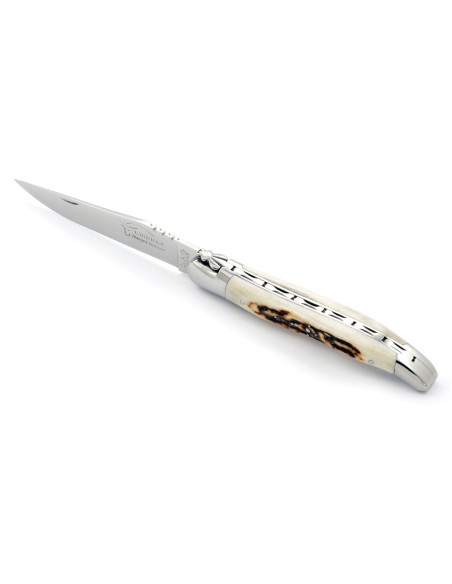 Laguiole pliant, 12 cm, abeille forgée, lame seule, mitres inox brillant, manche bois de cerf