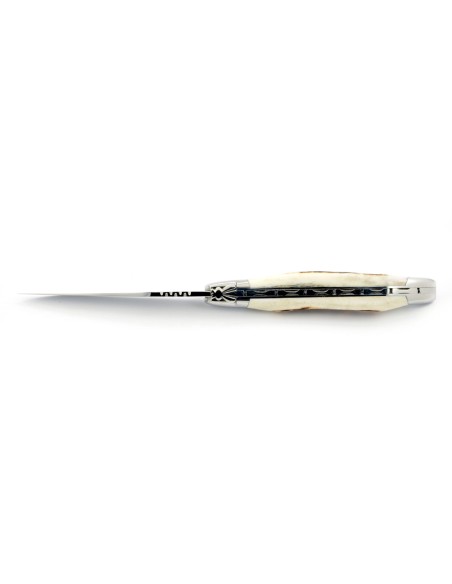 Laguiole pliant, 12 cm, abeille forgée, lame seule, mitres inox brillant, manche bois de cerf