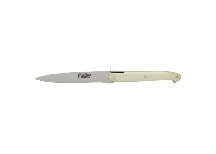 Couteaux de table (couteaux à steak), finition gamme courante, mitres inox brillant, manche bois de violette