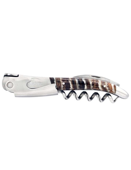Sommelier manche galbé, manche molaire de mammouth fossile stabilisé, 2 mitres inox mat