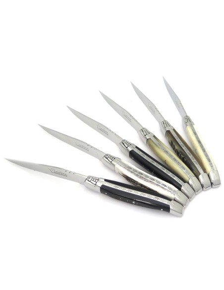 Couteaux de table (couteaux à steak), finition gamme prestige, mitres inox brillant, manche bois divers