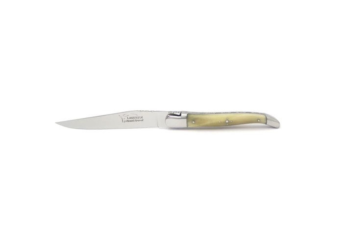 Couteaux de table (couteaux à steak), finition gamme prestige, mitres inox brillant, manche bois divers