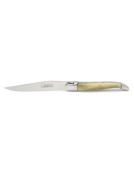 Couteaux de table (couteaux à steak), finition gamme prestige, mitres inox brillant, manche bois divers