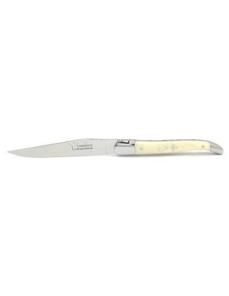 Couteaux de table (couteaux à steak), finition gamme prestige, mitres inox brillant, manche bois divers