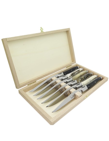 Couteaux de table (couteaux à steak), finition gamme prestige, mitres inox brillant, manche bois divers