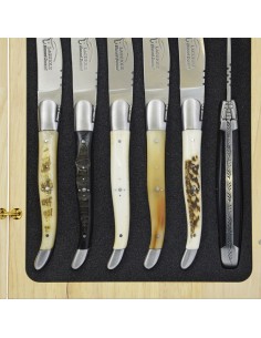 Coffret de couteaux de table Laguiole avec mitres inox mat, manche galbé en corne divers et os 2