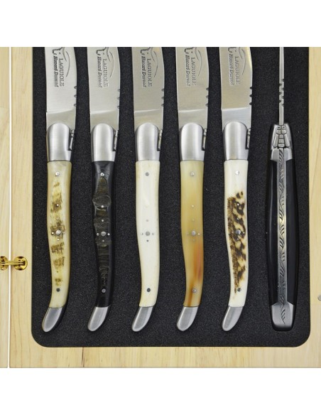 Coffret de couteaux de table Laguiole avec mitres inox mat, manche galbé en corne divers et os