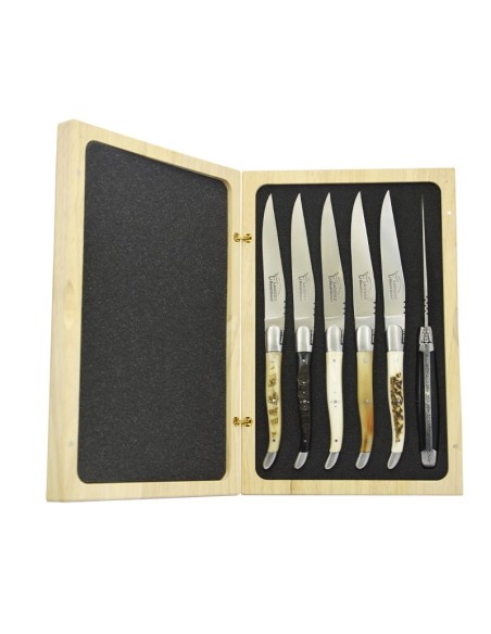 Coffret de couteaux de table Laguiole avec mitres inox mat, manche galbé en corne divers et os