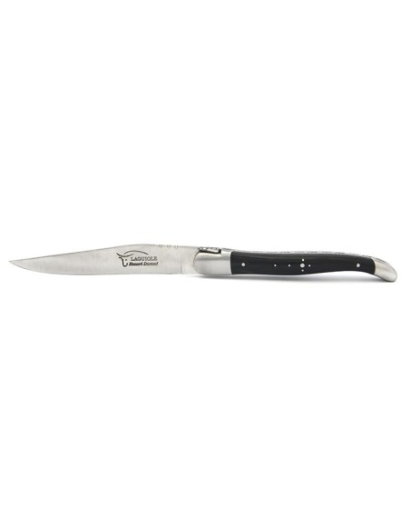 Coffret de couteaux de table Laguiole avec mitres inox mat, manche galbé en corne divers et os