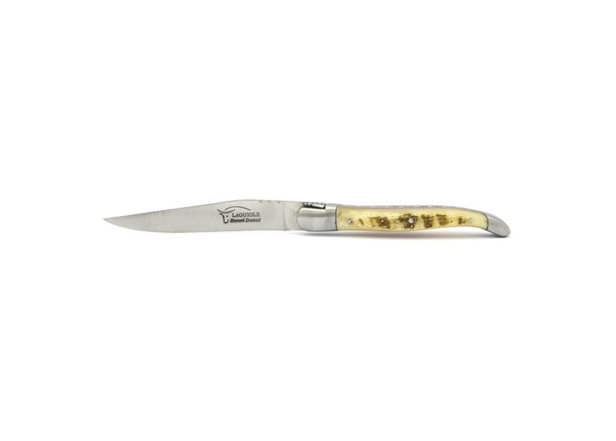 Coffret de couteaux de table Laguiole avec mitres inox mat, manche galbé en corne divers et os
