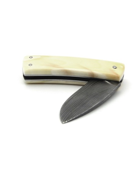 Laguiole pliant "Custom", plein manche de 9 cm en molaire de phacochère