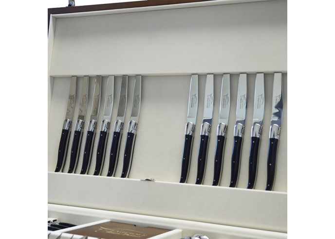 Modern Laguiole-Besteckservices, 24 Stücke, Heftbacken aus glänzendem Edelstahl, fein Griff weiß Corian, spülmaschinenfest