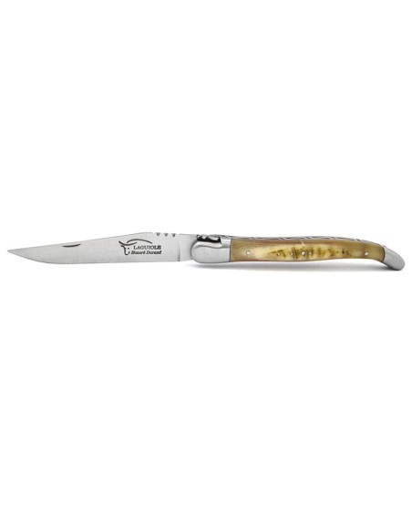 Laguiole pocket knife, 13 cm, forged bee, Ram horn with crust handle with matt bolsters