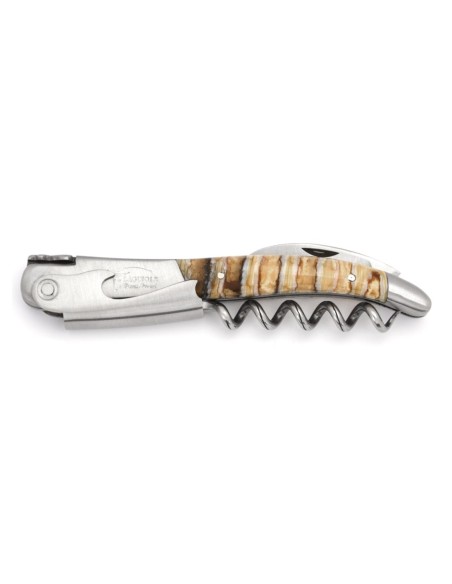 Sommelier Laguiole manche galbé en molaire de mammouth fossile stabilisé, finition mat