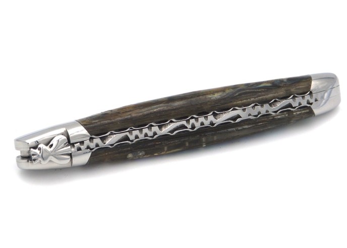 Laguiole pocket knife, 12 cm, forged bee, top and bottom chiseling, abalone handle with shiny bolsters