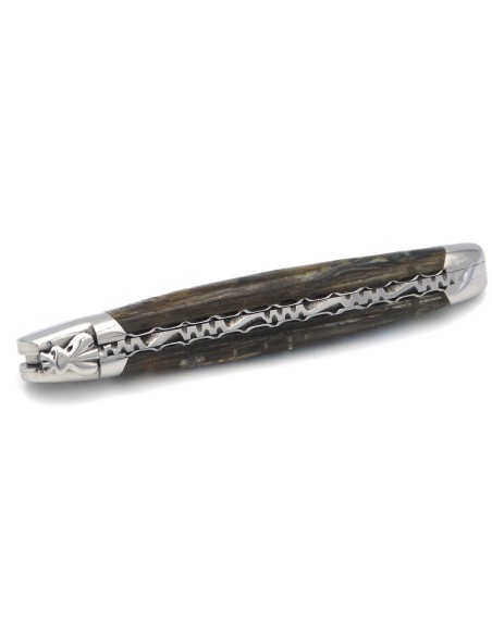 Laguiole pliant 12 cm, abeille forgée, lame seule, ciselé dessus dessous, manche abalone avec finition inox brillant