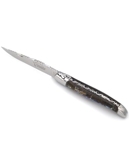 Laguiole pliant 12 cm, abeille forgée, lame seule, ciselé dessus dessous, manche abalone avec finition inox brillant