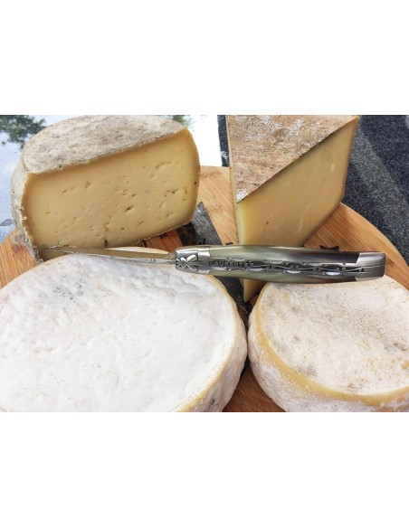 Laguiole 12cm, Doppelte Platten und Klingenrücken, Heftbacken aus mattem Edelstahl,  Hornspitze
