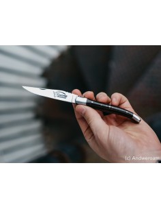 Laguiole pliant, 10 cm, abeille forgée, manche en bois d'ébène 2