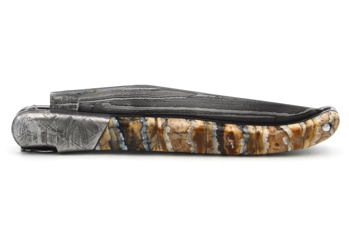 Laguiole pocket knife, 12 cm, "wild" Damascus steel blade,  bee and spring chiseled with file, 1 front meteorite steel bolster