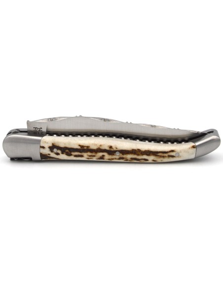 Laguiole pocket knife, 12 cm, double plates, chiseled on top and under, deer antler handle with matt bolsters
