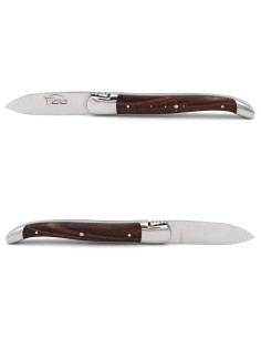 Laguiole oyster knife with shiny stainless steel bolsters. Purple wood handle