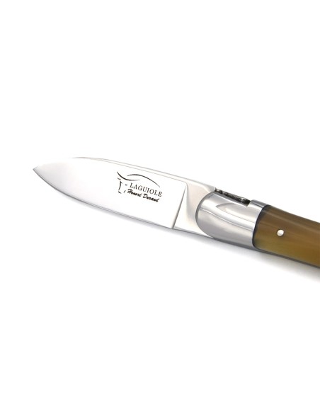 Couteau à huîtres de Laguiole, manche en pointe de corne claire, finition inox brillant