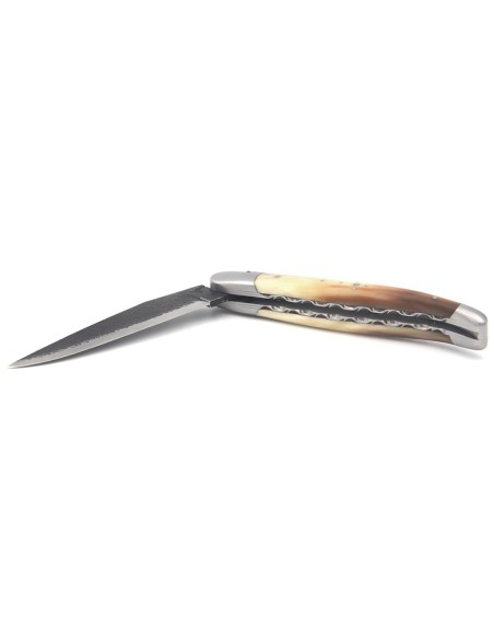 Laguiole pocket knife 12 cm, brut de forge blade, chiseled bee and spring with double plates,  pale horn tip handle