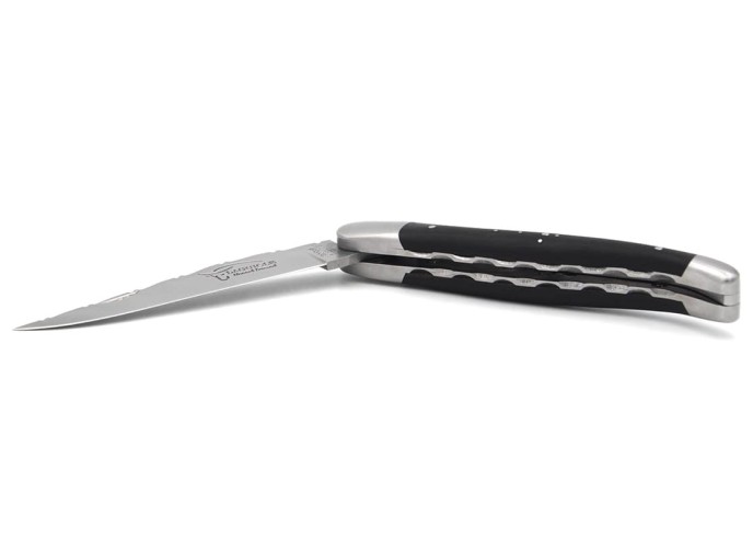12cm folding Laguiole knife in ebony, chiselled double plates and back of blade